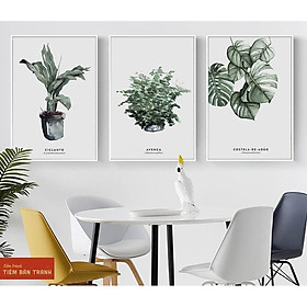 Tranh treo tường - Bộ 3 bức canvas tổng hợp 08 , tranh canvas giá rẻ