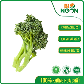 [Chỉ Giao HCM] - Súp Lơ Xanh Baby (Gói 250g)