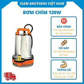 Mua Siam Brothers - Bơm chìm BPS-12V- 120W
