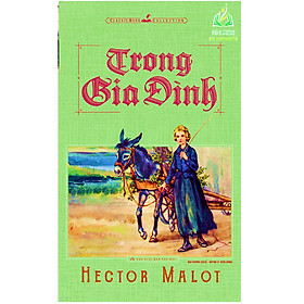 Sách- Tiểu Thuyết Trong Gia Đình - Hector Malot (Tái Bản)