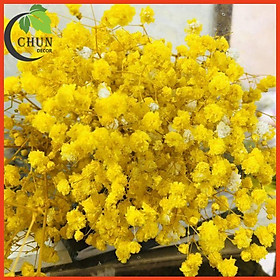 Mua Hoa Giả  Bó Hoa Baby Khô 60gr  120gr Trang Trí Nhà Cửa  Cửa Hàng  Làm Đồ Handmade