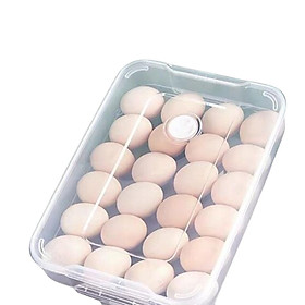 Reusable Eggs Holder Eggs Storage Container for Kitchen Countertop Drawer Clear