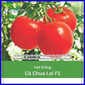 Hạt Giống Cà Chua Lai F1