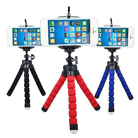 Mua Gậy 3 chân bạch tuộc kèm giá đỡ điện thoại đủ màu