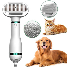 Pet Grooming Hair Dryer Brush Dog Cat 2 in 1 Temperature Adjustable US Plug