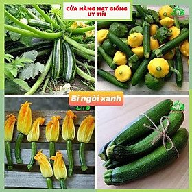 Mua Hạt Giống Bí Ngòi Xanh F1 Loại Siêu Dễ Trồng  Dễ Chăm Sóc Tặng kèm Hướng Dẫn Trồng