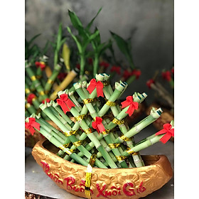 Trúc phú quý - Thuận buồm xuôi gió