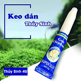 Keo dán cây thủy sinh, chuyên dán rêu, ráy, lũa, đá