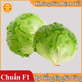 Hạt giống Xà Lách Mỹ Minetto ( Gói 2 Gram ) - Nông Sản Vàng