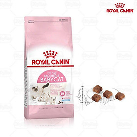 royal canin babycat hạt cho mèo túi 2kg