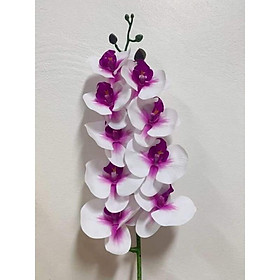 Cành phong lan hồ điệp cao 70cm-Hoa Giả