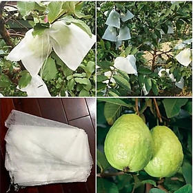 Mua Túi bọc trái cây  túi bao trái (quả) - túi rút tiện lợi chất liệu vải không dệt - Dùng cho cây trồng ăn trái (quả) na  xoài  cam  bưởi  ổi  mướp  bầu