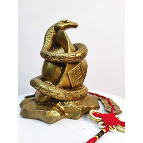 Tượng rắn quấn vàng phong thủy, trang trí nhà cửa