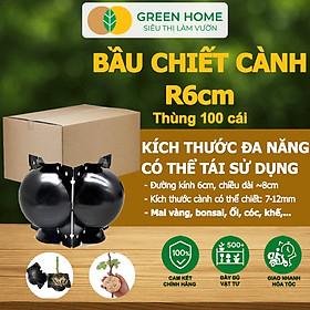 Bầu Chiết Cành GreenHome, R6cm(1 Thùng 100 CÁI), Tăng Khả Năng Ra Rễ, Phù Hợp Với Mai Vàng, Ổi, Mận