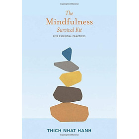 Ảnh bìa Mindfulness Survival Kit : Five Essential Practices