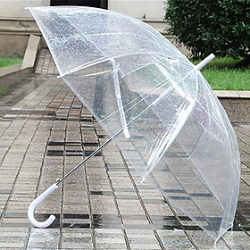 Mua Dù che mưa trong suốt ( tặng kèm 1 sản phẩm ngẫu nhiên)