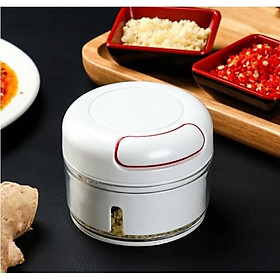 Mua Máy xay tỏi ớt mini cầm tay  dụng cụ xay tỏi ớt (dụng cụ không thể thiếu trong nhà bếp - hàng có sẵn)