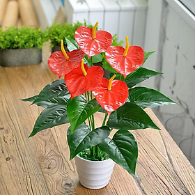 Mua Cây Hồng Môn Yến nhựa Pvc (không kèm chậu)