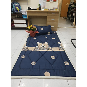 Mua NỆM VĂN PHÒNG- ĐỆM NGỦ VĂN PHÒNG 80X200cm dày 3cm