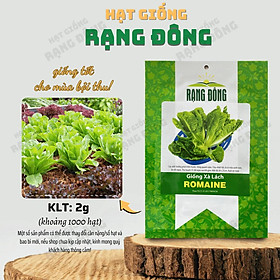 Mua Hạt giống Xà Lách Romaine (2g~1000 hạt) chịu nhiệt tốt  giàu dinh dưỡng  trồng quanh năm - Hạt giống Rạng Đông