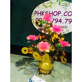 Cây hoa lưu ly 35cm đế sen thành phẩm