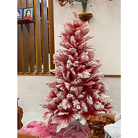 Cây thông noel màu đỏ cao 2m