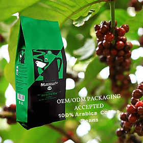 Cà phê hạt/bột - 100% Arabica - Chua thanh, đắng nhẹ, gu nhẹ nhàng (Pha phin/máy) [1kg]