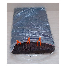 Mua Dớn Bản Trồng Lan  Bản 30x20Cm