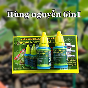 Mua HÙNG NGUYỄN - ĐÀ LẠT 6 IN 1 chế phẩm hoa lan và cây cảnh