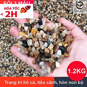 Sỏi Đa Sắc Hạt Nhỡ Trải Nền Thủy Sinh, Bể Cá - Sỏi 3 Màu Trang Trí Tiểu Cảnh Cao Cấp [BÁN CHẠY