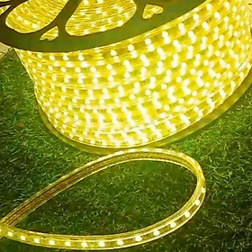 DÂY LED 5050 4 CHÂN NHIỀU MÀU