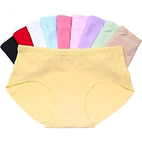 SET 10 quần lót đúc loại đẹp (Mẫu 501)