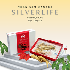 Nhân sâm khô Canada SilverLife Gold | Nhân sâm khô nguyên củ | Nhân sâm Canada Chính Gốc