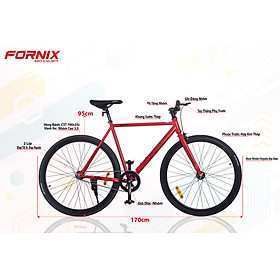 [TRẢ GÓP 0%]  XE ĐẠP FIXED GEAR BF200 - FORNIX - BẢO HÀNH 12 THÁNG