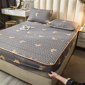 Mua Chiếu cao su non bo chun 1m6x2m kèm 2 vỏ gối nằm