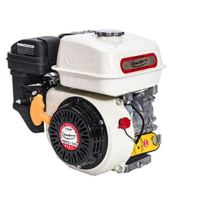 Máy nổ chạy xăng Vinafarm VNDCX-160 nhanh trắng