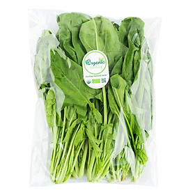 Cải Bó Xôi Hữu Cơ Food King Túi 250g
