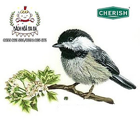 Mua (Siêu rẻ) Kit thêu tay trang trí DIY tự thêu chim sơn ca - Combo Bộ tự thêu chim sẻ và hoa - Bách hóa Na na Handmade
