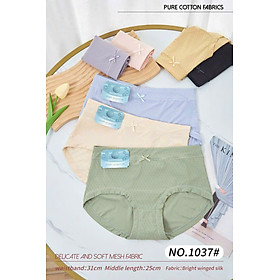 Combo 5 quần lót su nữ thông hơi