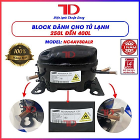 Mua Block dành cho tủ lạnh Samsung 250L đến 400L gas 600A  model NC4AV80ALR  lốc tủ lạnh hàng chính hãng - Điện Lạnh Thuận Dung