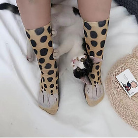 Mua Đôi tất giúp bạn trở nên quyến rũ