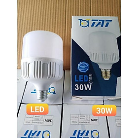 Mua Thùng 50 bóng đèn led 30w TAT