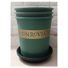 Combo 3 Chậu MONROVIA CH Garden 3Gal - Màu Xanh + 3 Khay Lót Đế Chậu 26 - Màu Đen