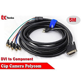 Mua Cáp DVI polycom sang Component chất lượng cao dài 5m - Hàng chính hãng