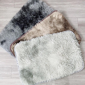 Mua Thảm Lau Chân Lông Thảm Chùi Chân Siêu Mền Mịn Chống Trơn Siêu Thấm 40x60cm