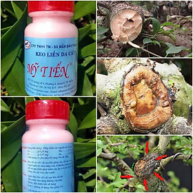 Mua Keo Liền Da Cây - Keo Liền Sẹo Mỹ Tiến Lọ 100gr