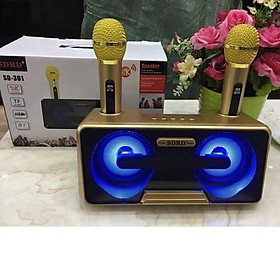 Mua Loa karaoke SD-302