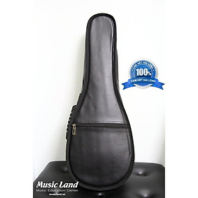 Mua Bao Đàn Ukulele - Loại Tốt