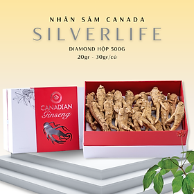 Nhân sâm Canada SilverLife Diamond | Nhân sâm khô nguyên củ | 100% nhân sâm Canada cao cấp 5 năm tuổi