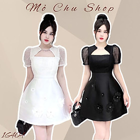 Đầm xòe tapta phối ren đính hoa nổi